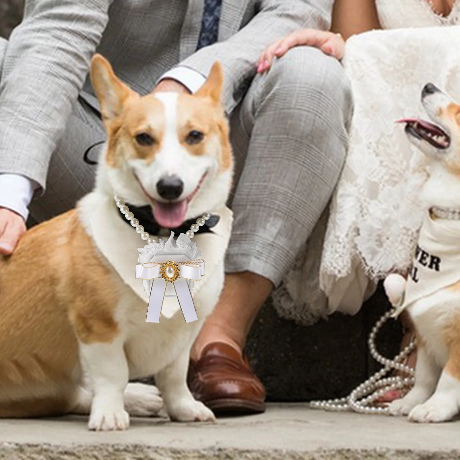 

Pet Wedding Accessories Dog Ring Box Bride Groom Jewelry Organizer Holder Storage Container Valentine Gift Pet Supplies