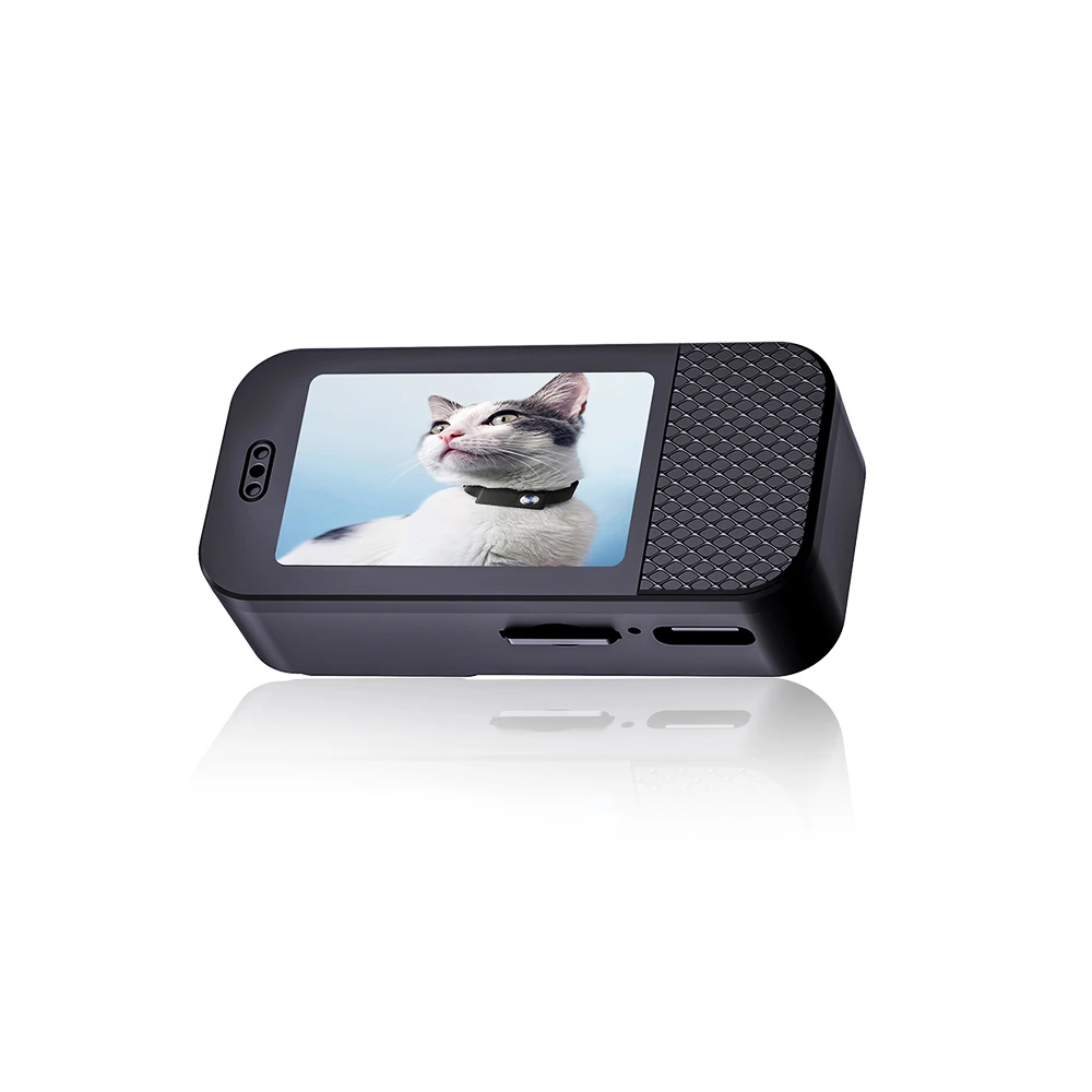 BORME HD 1080P huisdiercamera's hond kat huisdiercamera draadloze halsbandcamera geen WiFi nodig video-opnamen voor katten honden verjaardagscadeau - afbeelding 2
