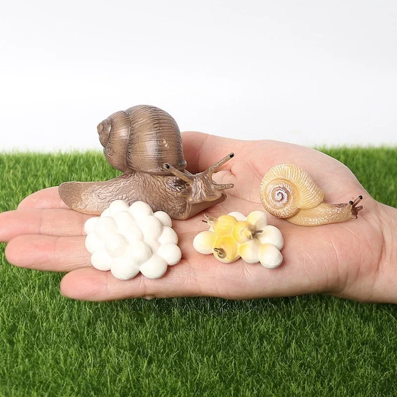 2026 Realistic Resin Snail Animal Model Kawaii Creative Snail Model Outdoor Life Cycle of Snail Diagram Miniature Garden Decor