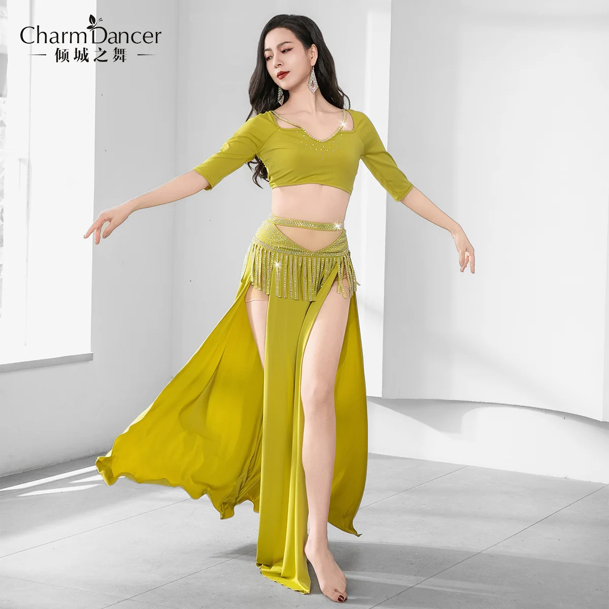 Vêtements de spectacle de danse du ventre pour adultes, vêtements de cours, Costume Oriental, haut à franges, jupe longue, ensemble vert Rose rouge, tenue de fête sur scène