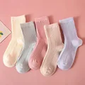 color09(5 pairs)