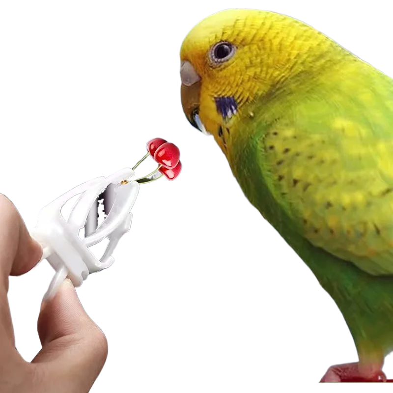 

1pcs Birds Food Holder Pet Feeding Fruit Vegtable Clip Cuttlefish Bone Feeder Device Pin Clamp Bird Cage Accessories