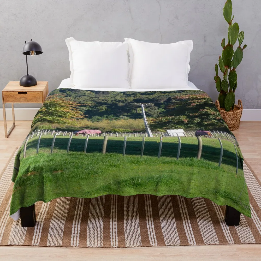 

Horses Grazing In A Paddock Throw Blanket Softest Thermal Camping Luxury St Blankets