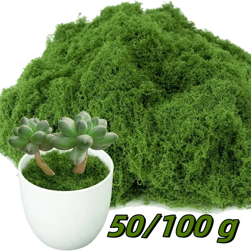 Musgo Artificial de Simulación de 50/100g, Planta Artificial Verde para Decoración de Paredes de Jardín y Hogar, Micropaisaje, Manualidades DIY