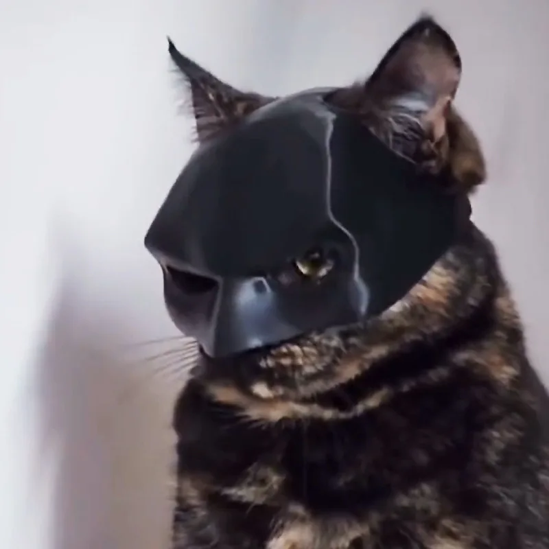 Matte Cute Batcat Avenger Mask Cat Mask Pet Toy