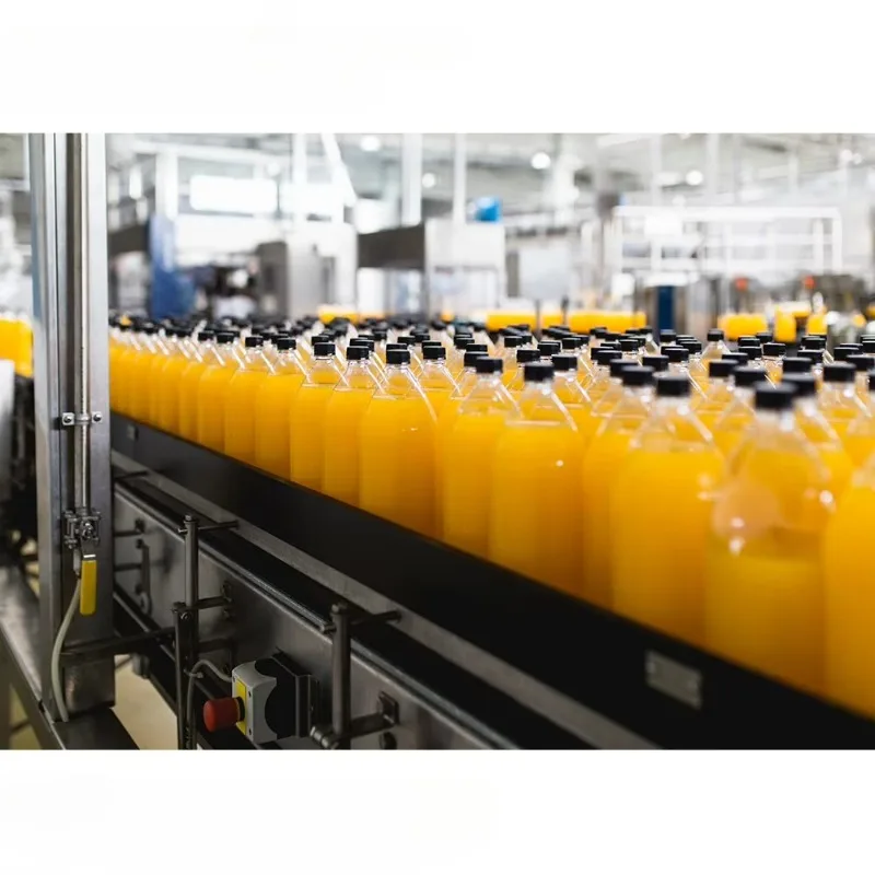 Complete Small Scale Juice Production Line Fruit Juice Production and Packaging Line