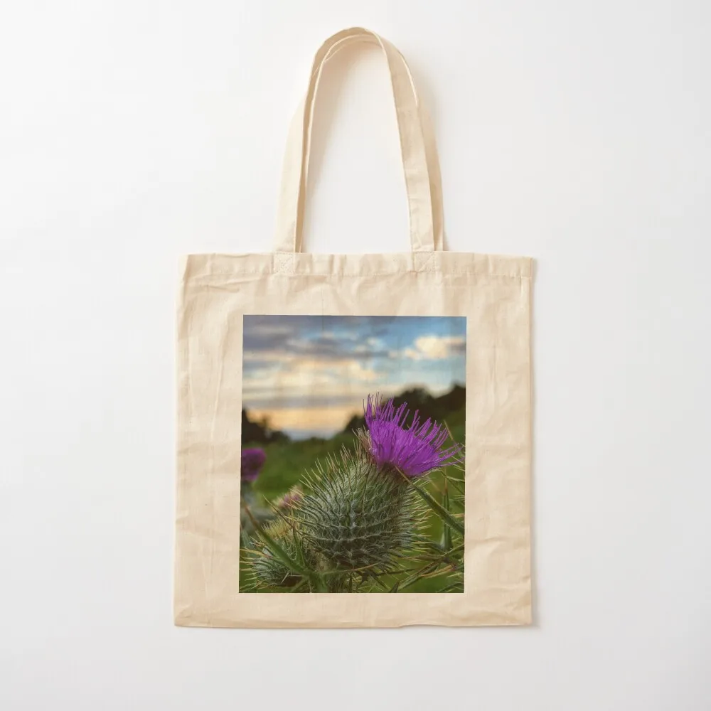 Sunset thistle near Selkirk, Scottish Borders Tote Bag tote canvas large Canvas