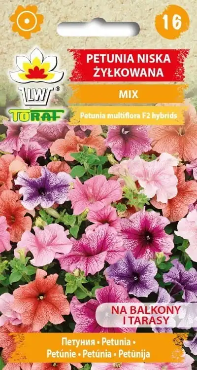 Petunia veins low mix 0.1g flower seeds for home and garden terrace flowers