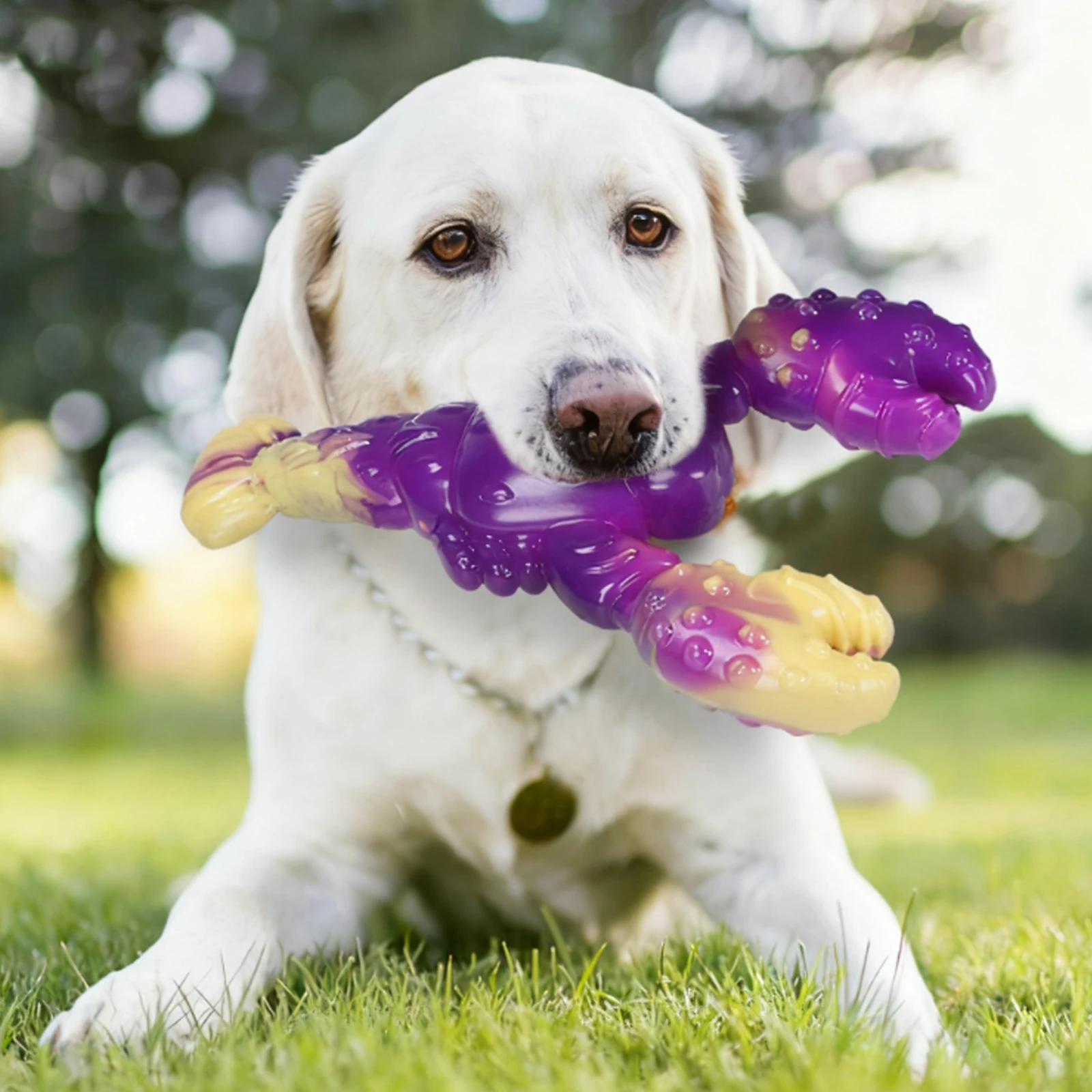 ألعاب الكلاب على شكل حيوان لعبة طب الأسنان للكلاب من النايلون لعبة تنظيف الأسنان للكلاب المتوسطة والكبيرة #1
