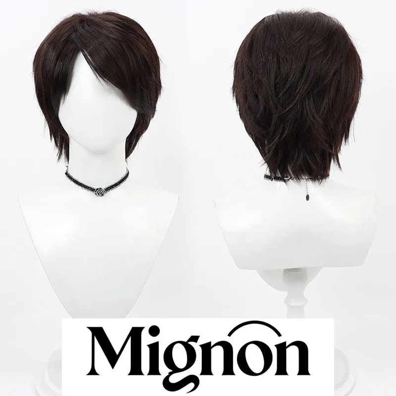 

Kamen Rider Decade Kamen Rider Tsukasa Kadoya cosplay wig dark brown teased roots Halloween gift