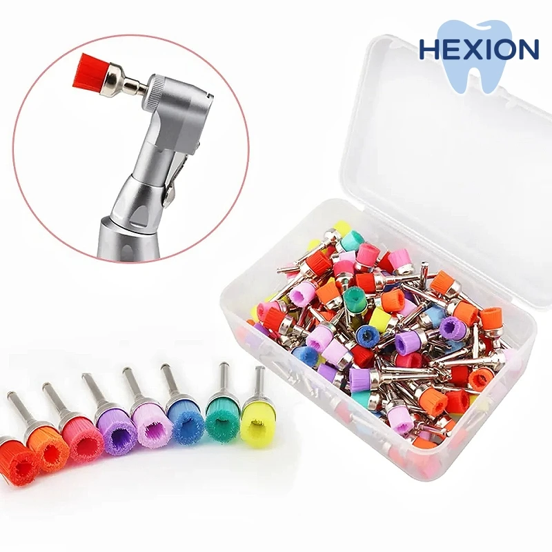 

HEXION 500pcs Dental Lab Disposable Nylon Brushes-Small Plane Polishing Cup/Head - Prophy Whitening Contra-Angle Handpiece Tools