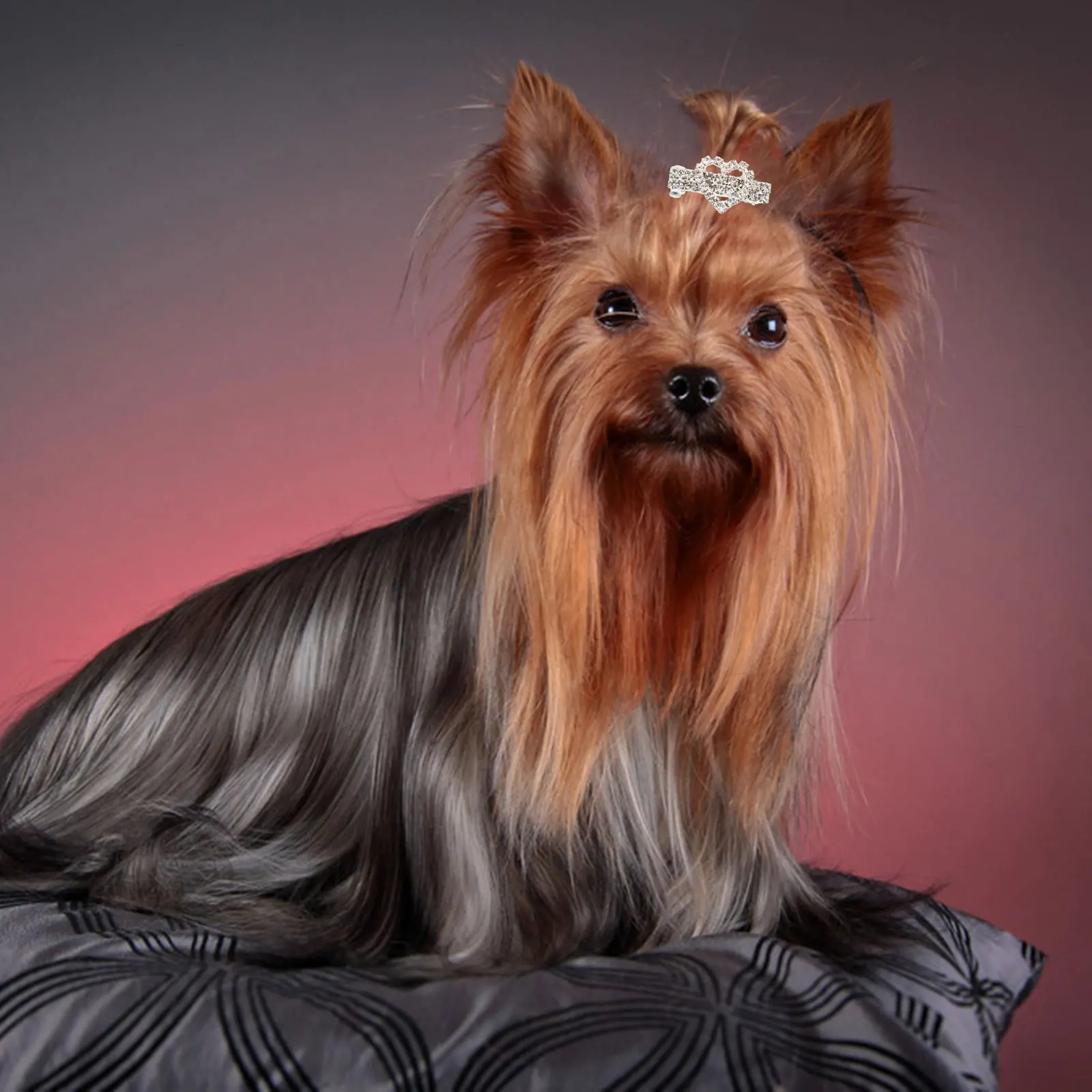 

2Pcs Decorative Pet Hair Clips Heart Shape Dog Puppy Hairpins Durable Stylish Hair Accessories Gift Idea Decorative Pet Hairpin