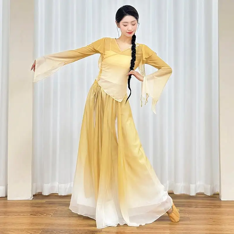 

Ele adual Tulle Dance Costume Women's Classic Dance Practice Suit Performance Art Exam Traditional Ethnicwear