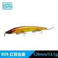120SF 13.1g 809