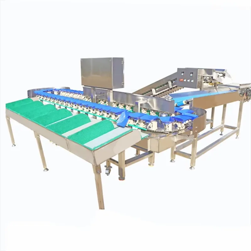 Potato  Onion Cherries Auto  Citrus Fruit Grader/shrimp Cashew Nut Prawn Grading Machine Automatic