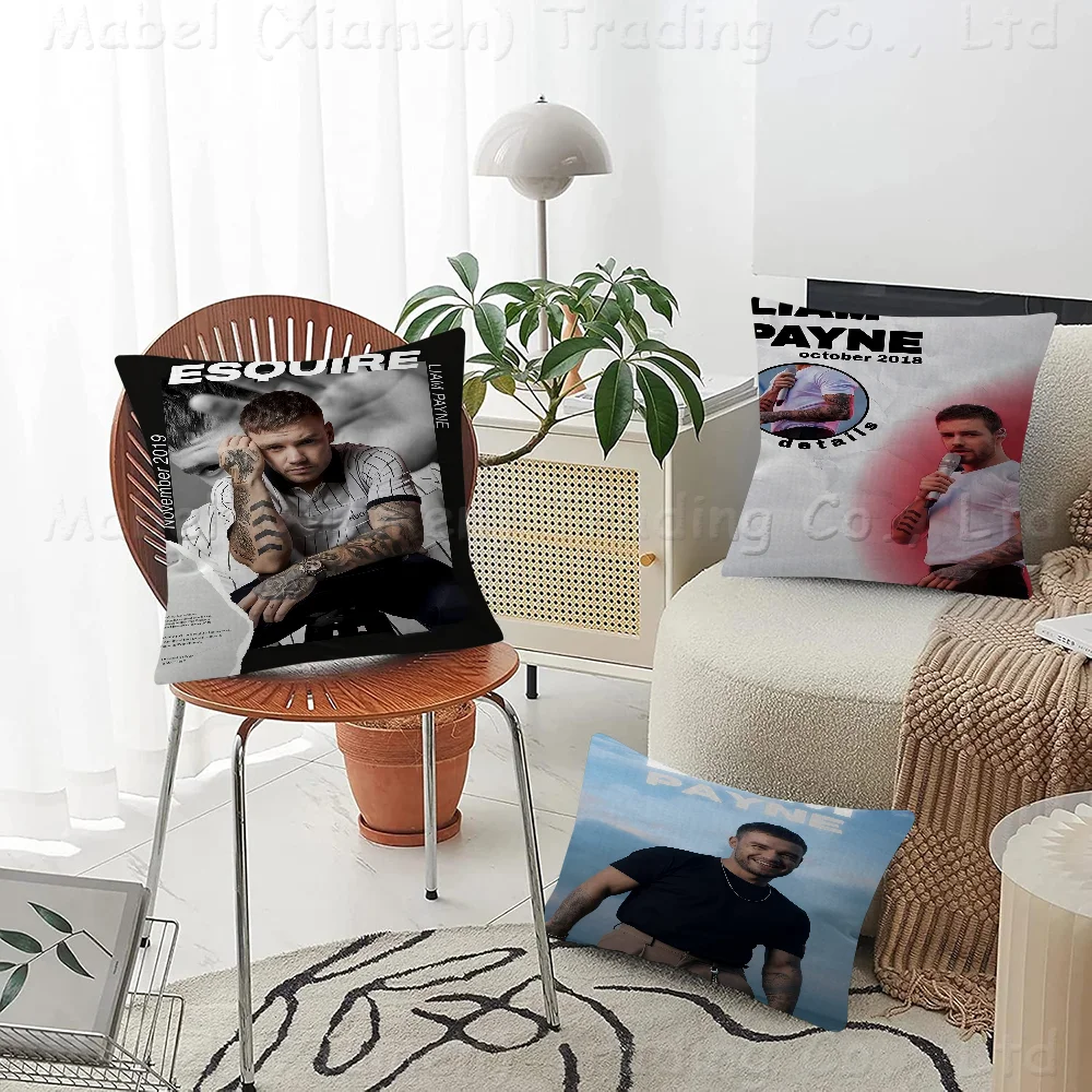 Singer Liam Payne Stitch Lucky Dragon Pillow Cover Sofa Cushion Cover Home Room Decoration Children Gift