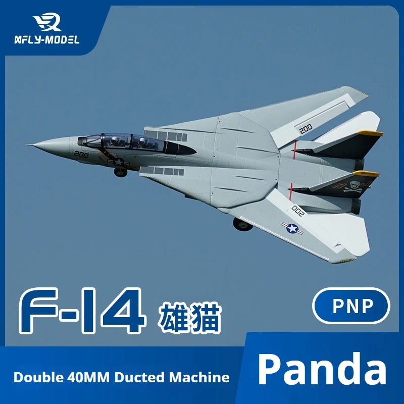 XFly F-14 Tomcat avion de chasse télécommandé Variable balayage aile Jet double 40mm canal ventilateur modèle électrique aile fixe cadeau