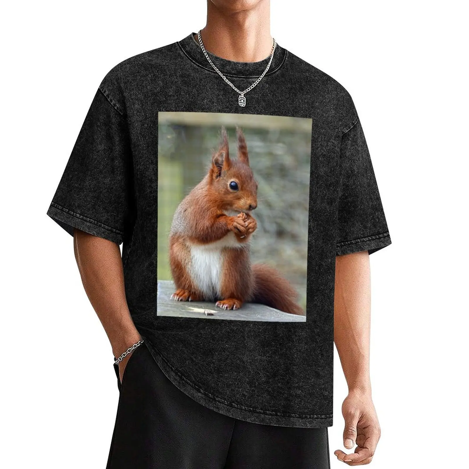 Yum a Walnut........Devon UK T-Shirt Blouse boys animal print oversized t shirt heavy weight t shirts for men