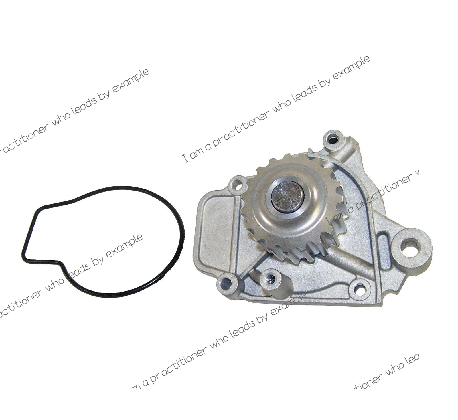 Timing Belt Kit Water Pump Crankshaft Seal for HONDA