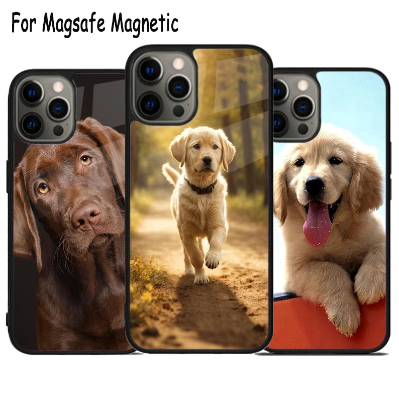 Labrador Retriever Dog Wireless Charge Magsafe Phone Case For iPhone 15 16 14 13 11 12 Pro Max Plus Magnetic Bumper Cover