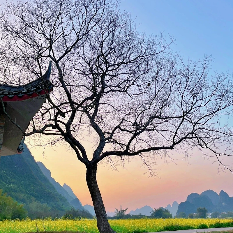 

HGLRC SPECTER 2004 1800KV Бесщеточный двигатель 4-6S для FPV Freestyle 3,5 " Cinewhoop 5 "Дрон дальнего действия DIY Запчасти