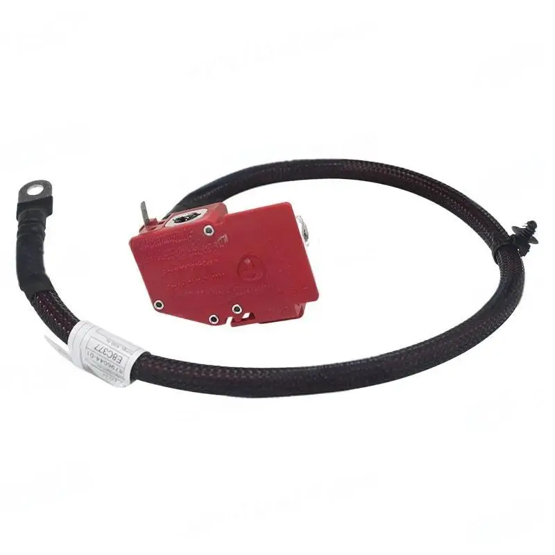 BF 61128795489 61128796040 Positive Battery Fuse Cable Car Accessory Cable Battery Connector for BMW Hybrids X5 G05 F95
