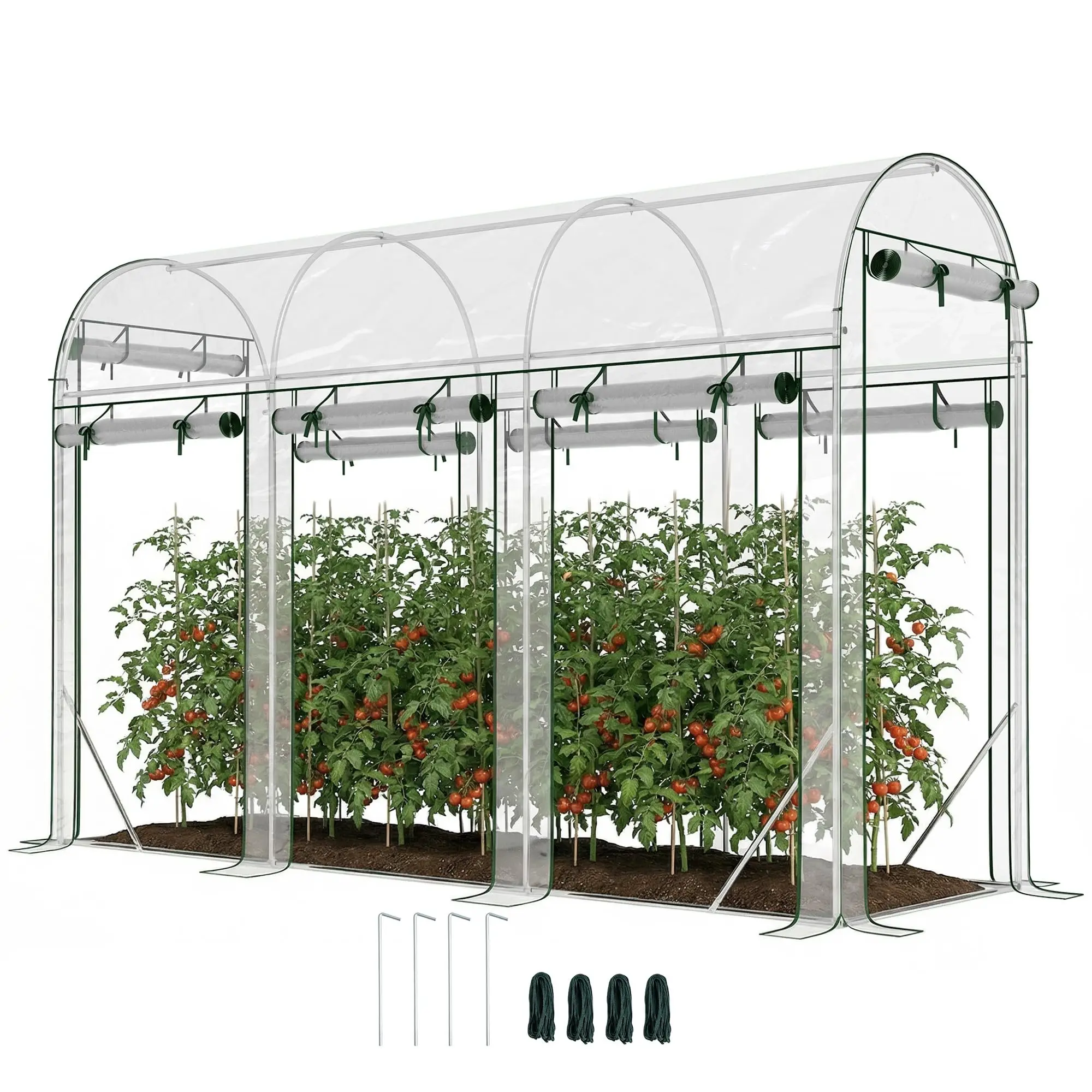 Walk-in Tunnel Greenhouse 10' x 3' x 6.5' 8 Roll-Up Doors Clear