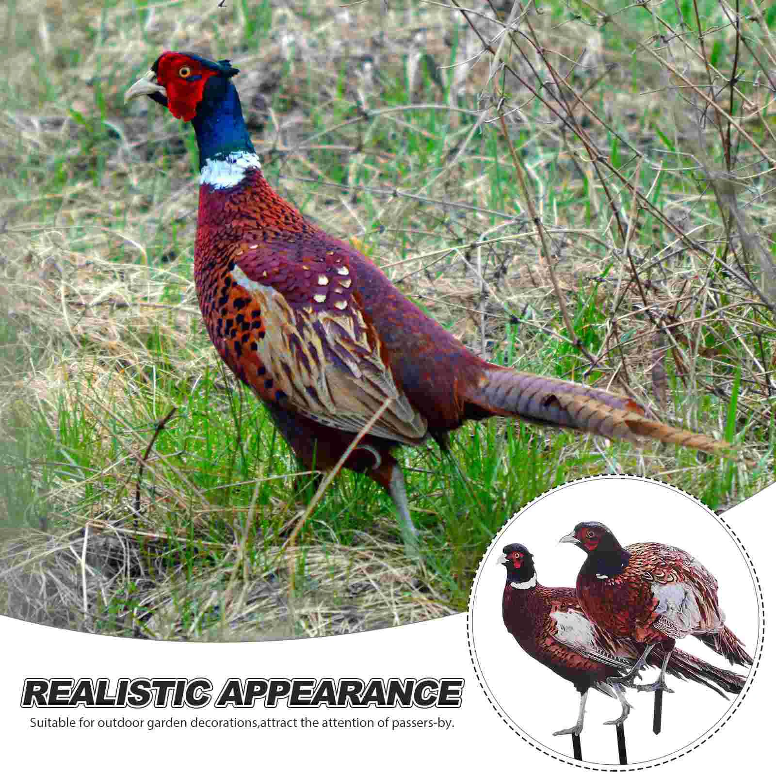 2 Pcs Pheasant Decor Garden Decoration Stake Yards Decorative Decorations Outdoor