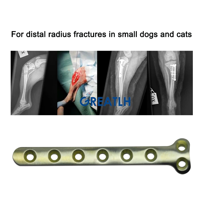 GREATLH Titanium Alloy T Shape Bone Plate T-type Plate for Small Animal Pet Distal Radius Fracture Vet Orthopedic Instrument