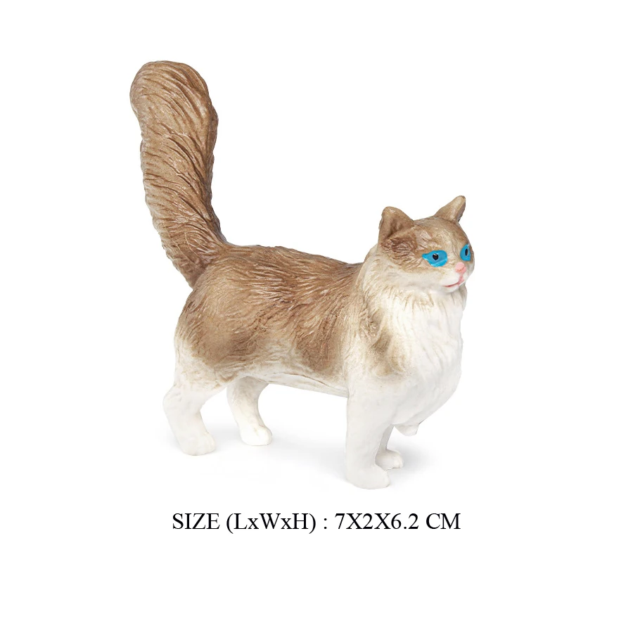 Cat -3