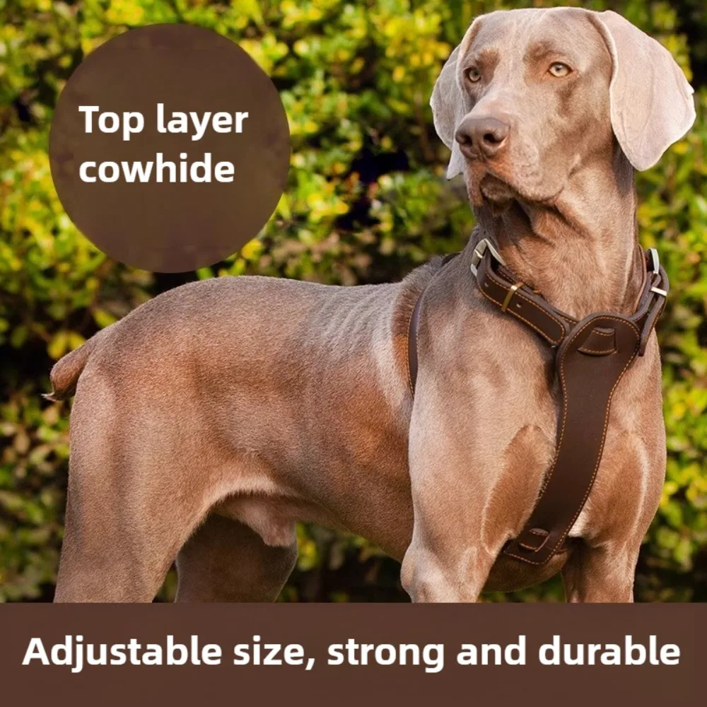 

Роскошная кожаная шлейка для собак ручной работы, нагрудная шлейка в стиле жилета из воловьей кожи с верхним слоем, французский боевой золотистый ретривер, большая собака