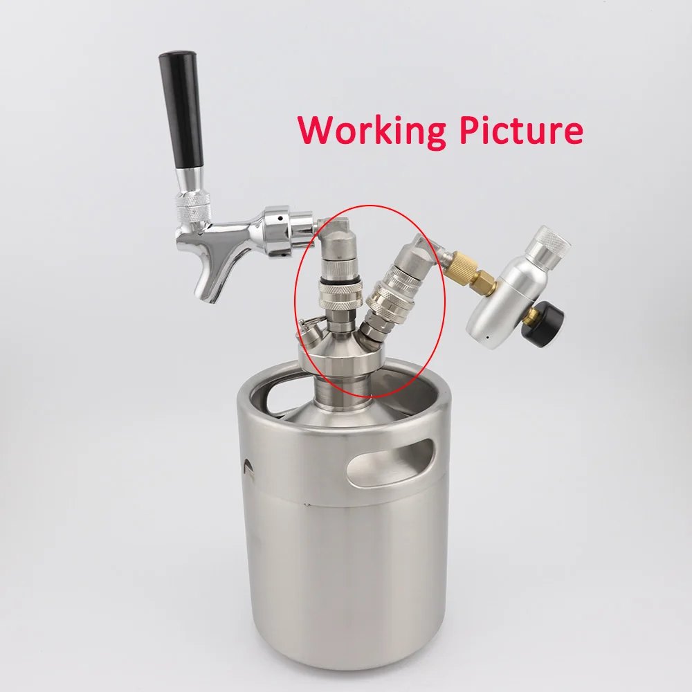 Full Stainless Steel Beer Keg Spear Tap and MFL Ball Lock Disconnects with 30