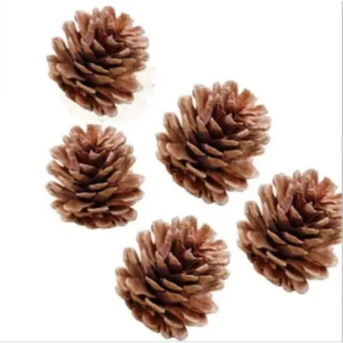 Wooden Gold Cone Natural Pinecone Marriage Engagement Ornament Natural Color Big size 70 Pcs