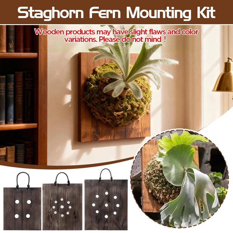 Kit de Placas de Madeira para Pendurar Samambaia Chifre de Veado, Vários Tamanhos, para Jardim Vertical e Montagem em Parede