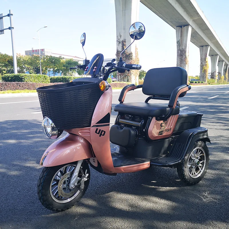 3 Wheel Electric Tricycle for Adults Cargo Motorcycle Motorized Trike 48V 20Ah 600W  Electric Moped