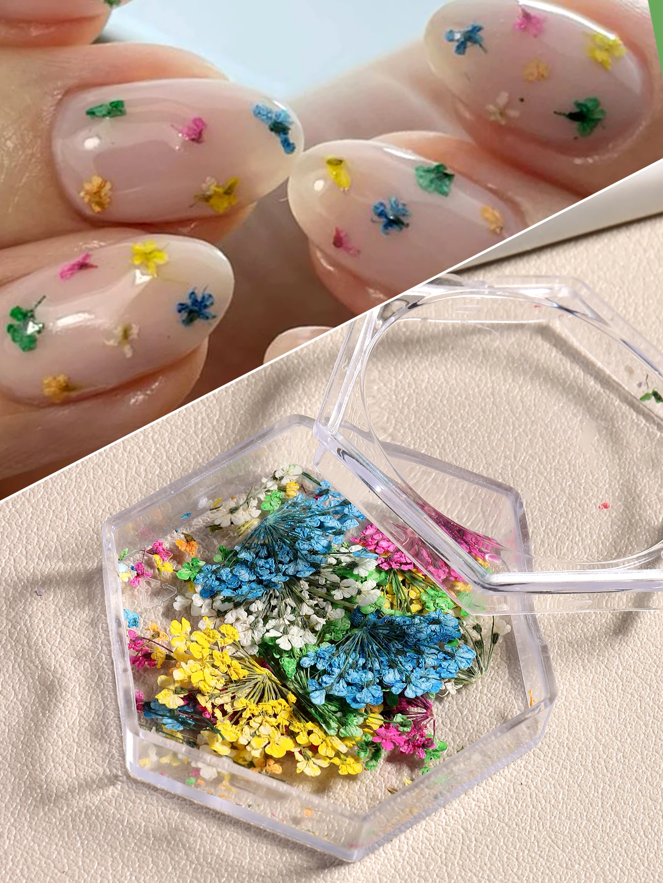 Gemischte Bunte Natürliche Blumen Nagelkunst-Charms Klein-Blau Gelb Rot Fünfblättrige Blume Natürliche Florale Maniküre-Accessoires – Detail 15