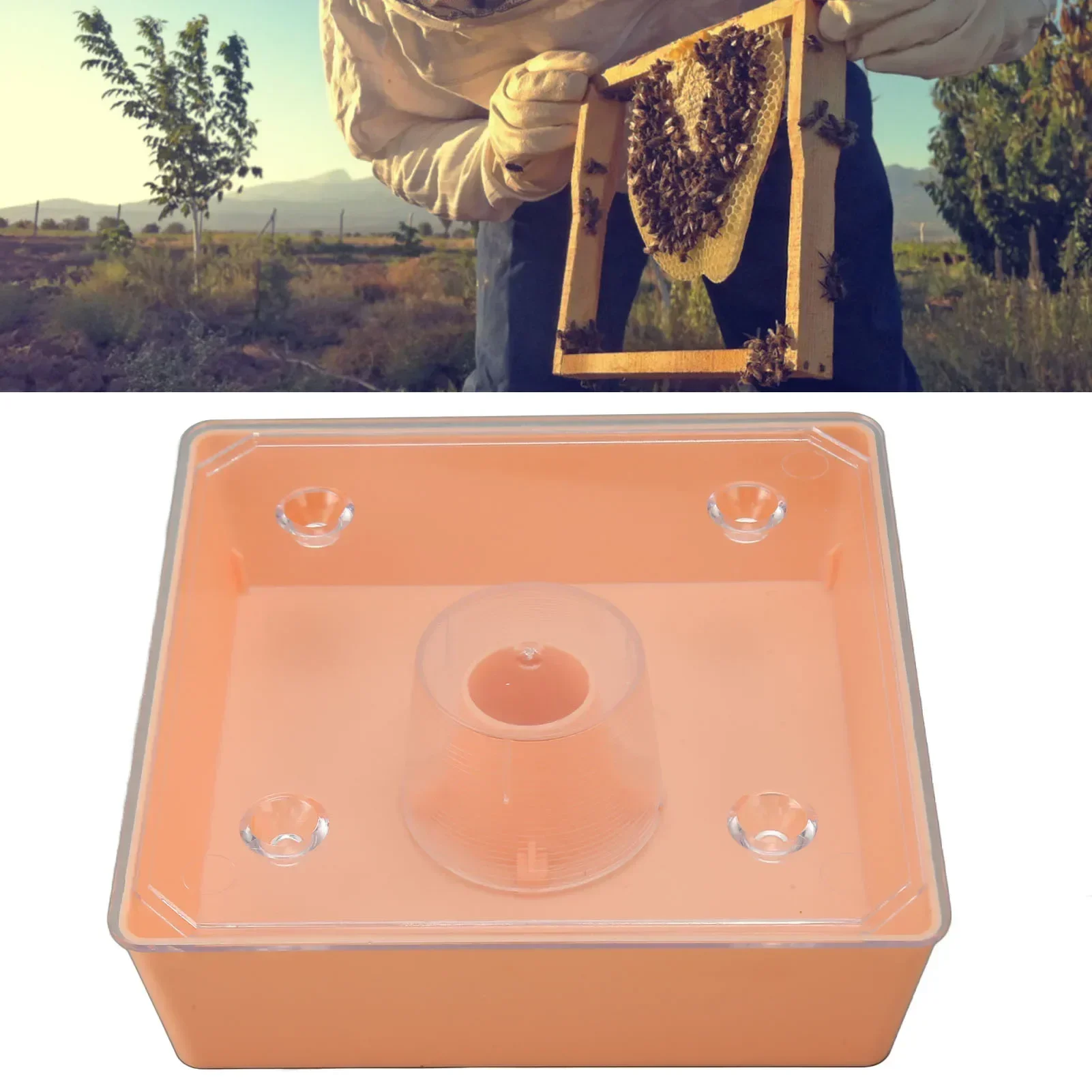 Acrylic Hummingbird Feeders Outdoor Beehive Top Feeder Square Beekeeping Water Feeder