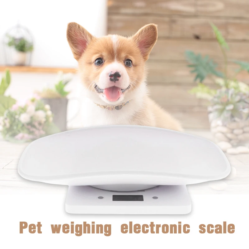 

Mini Digital Scale Pet Dog Cat High Precision Gram Accurately Display Measure Multifunctional Weighing Tool