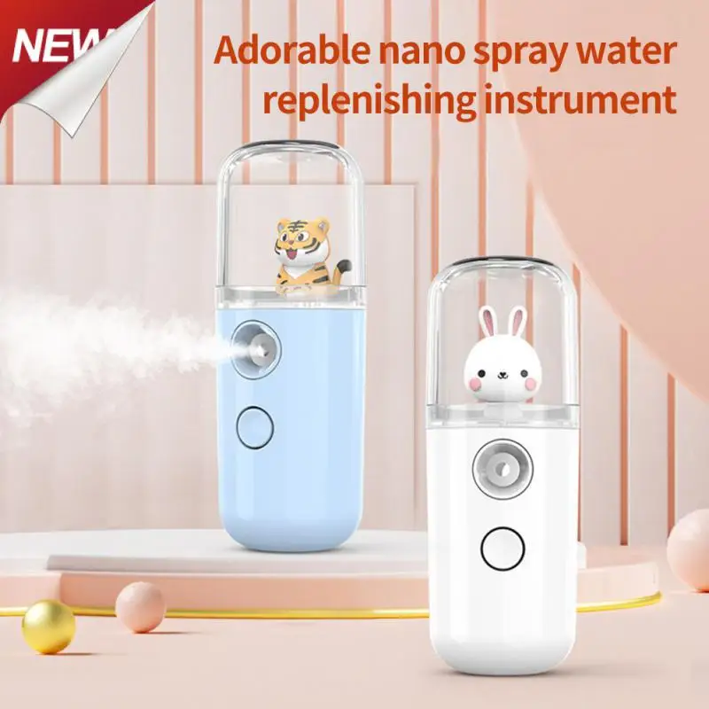 Moisturizing Women Beauty Skin Care Usb Chargeable Portable Facial Sprayer Facial Steamer Usb Charging Steamer Nano Mist Sprayer