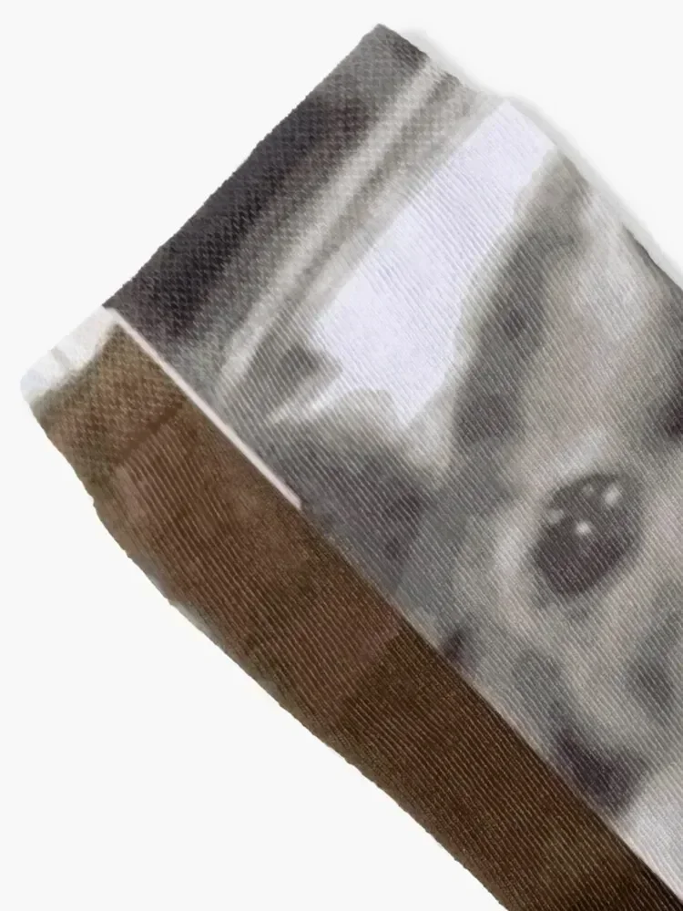 Crying Cat Socks man custom sports bright garter Crossfit Men Socks Women's