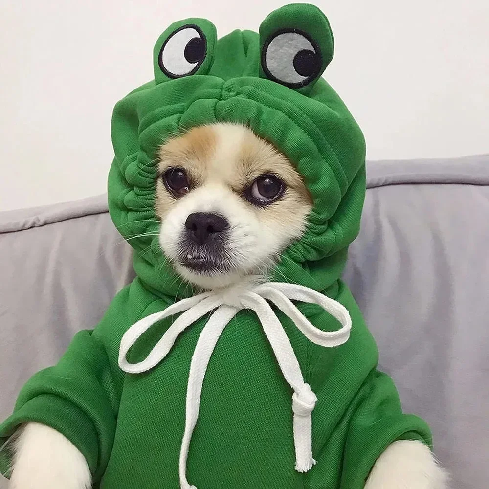 Thumbnail 2 - #14 Highest Rated Puppy Jumpers to Buy in 2026