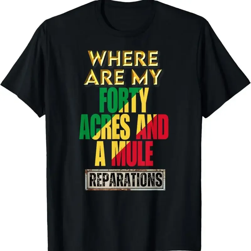Black History Fact Slavery Forty Acres And Mule Past Due T Shirt