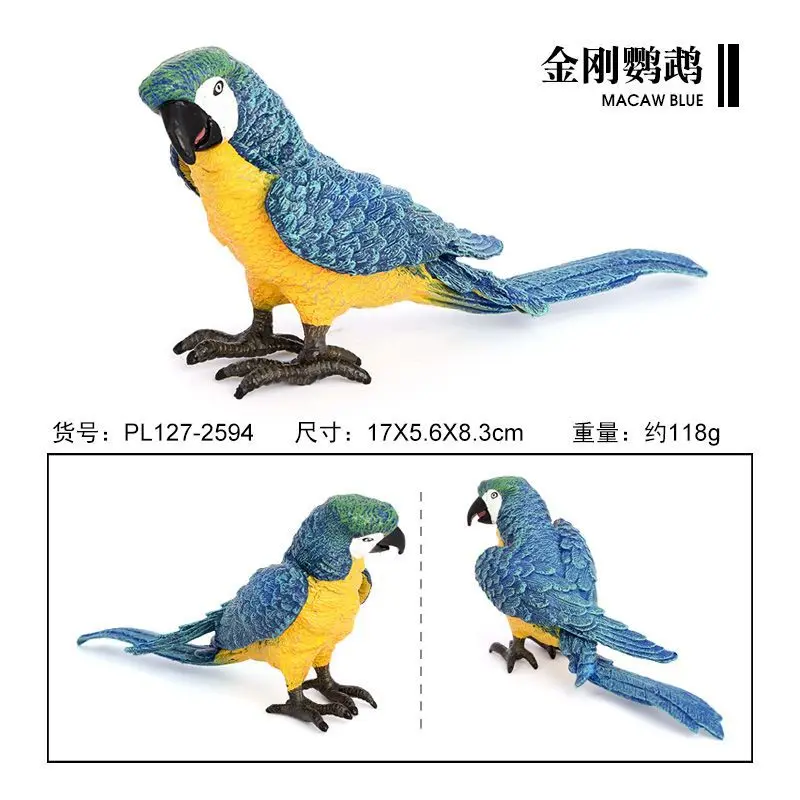 Simulated wildlife models, macaws, birds, static solid children's cognitive plastic toys