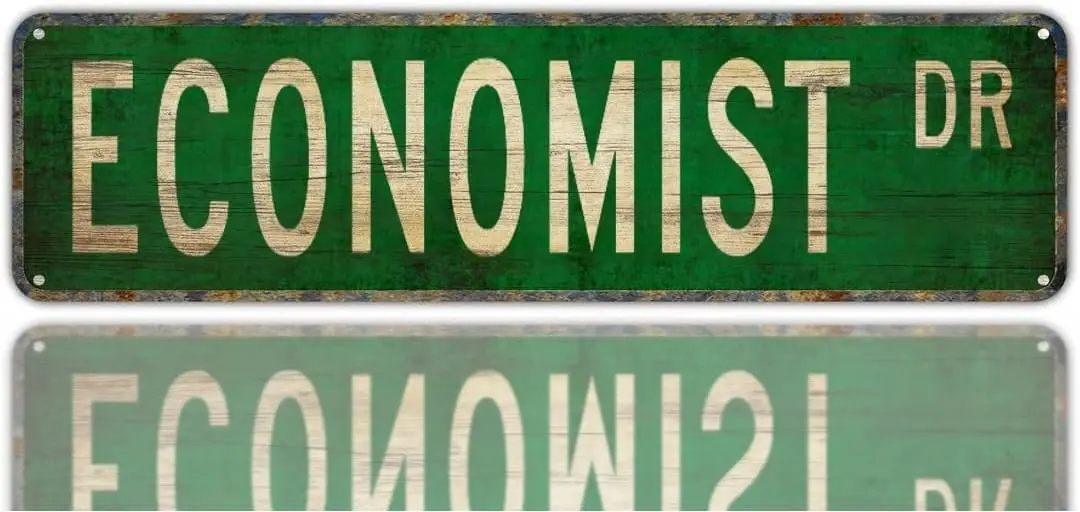 Vintage Decor Wall Signs Economist Economist Gift Economist Sign Financial Adviser Metal Street Sign Metal Street Sign 16 x 4 in