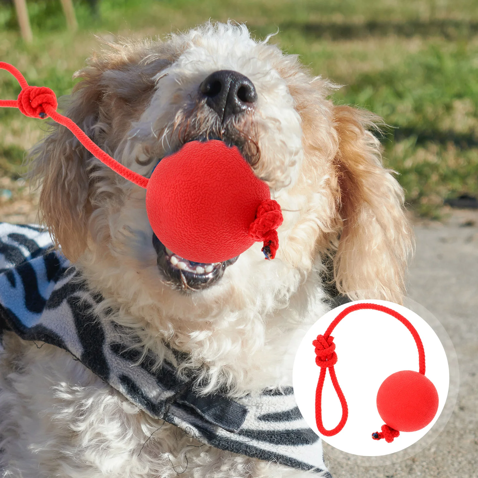 Pet Toy Ball Rope Rubber Solid Elastic Ball Bite-Resistant Pets Supplies Molar Training Tool for Dog Puppy (Red)