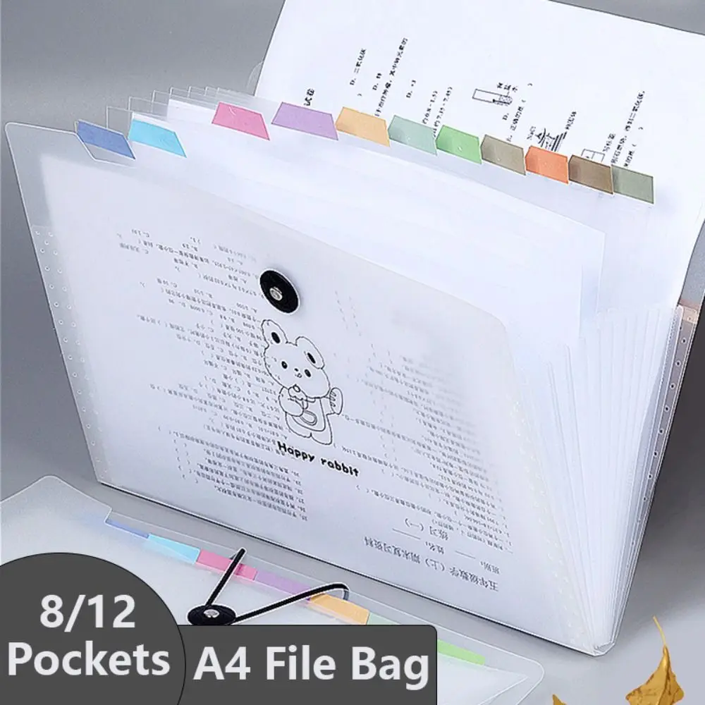 Creative Waterproof A4 File Folder Large Capacity 8/12Pockets Test Paper Storage Folder PP File Organizer Students