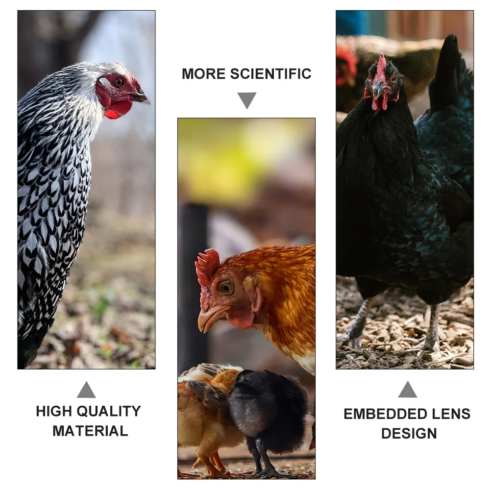 

100Pcs Plastic Chicken Eyeglasses Strong Non Tethered Anti Fighting Peepers for Poultry Pet Chicken Spectacles Farm