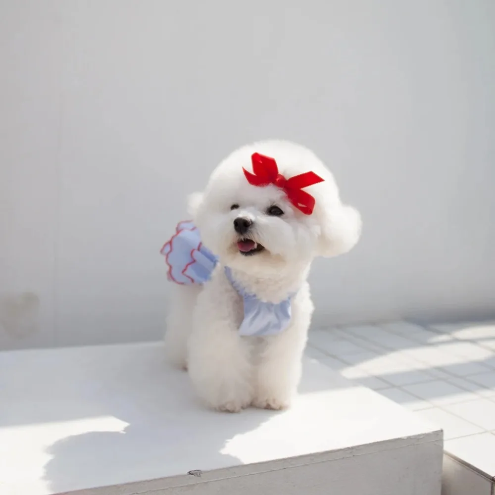 Dog Dress Luxury Puppy Skirt Dog Clothes Princess Dresses Wedding Evening Dress Dog Fancy Dress Puppy Summer Clothes Cat Costume