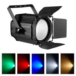 200W RGBW 4IN1 Or Warm White & Cool White COB LED Par light wedding club bar party dmx512 LED light Stage spot light event show