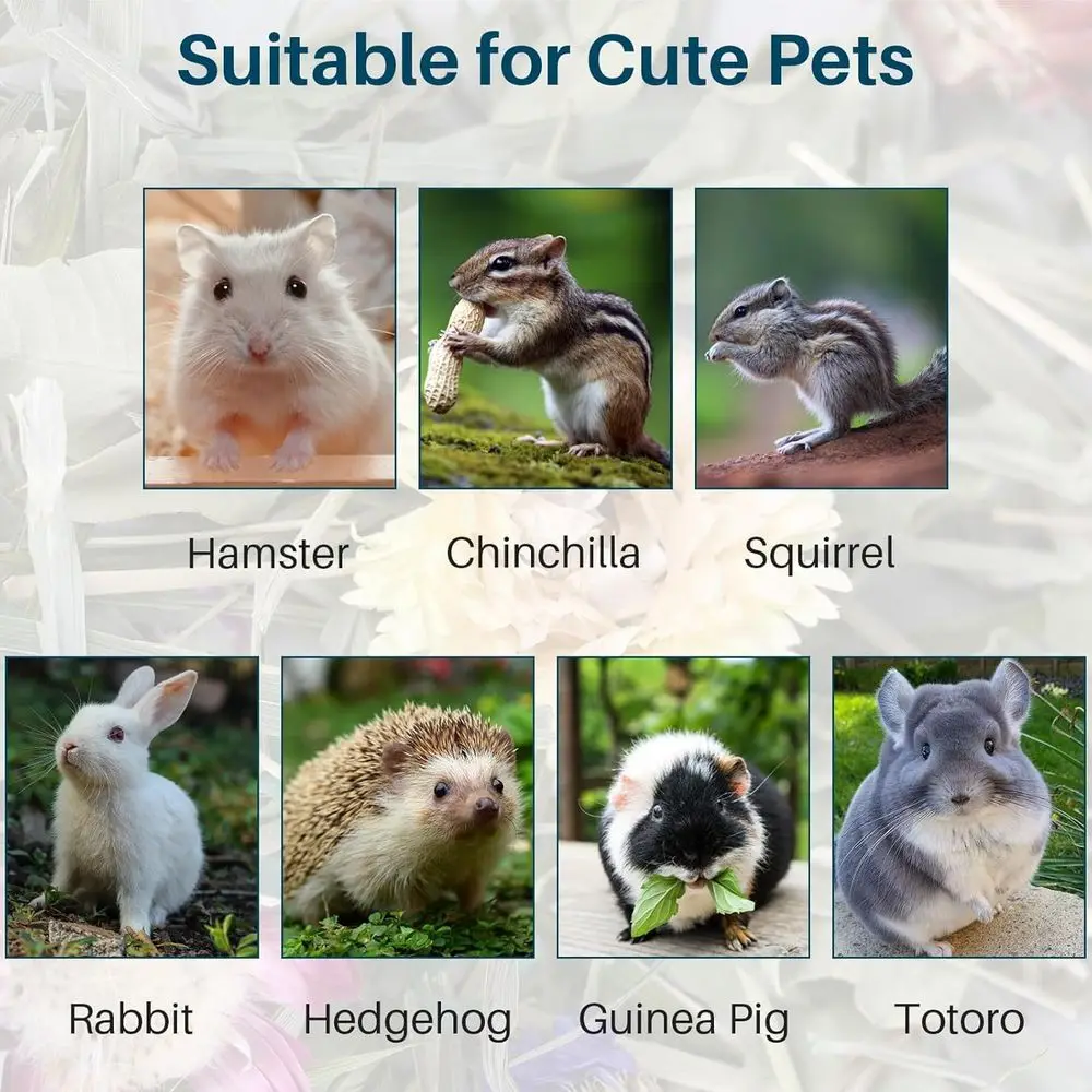 description